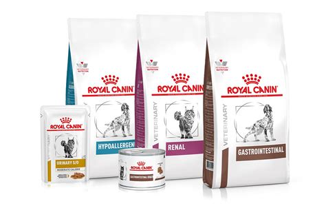 Infographie présentant les différentes gammes de produits Royal Canin pour chiens.