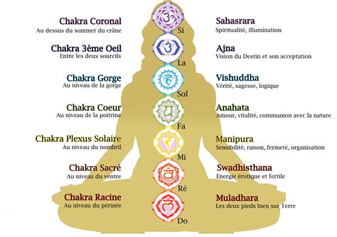 Illustration des chakras principaux et leur localisation dans le corps humain, avec mise en évidence du chakra du plexus solaire.
