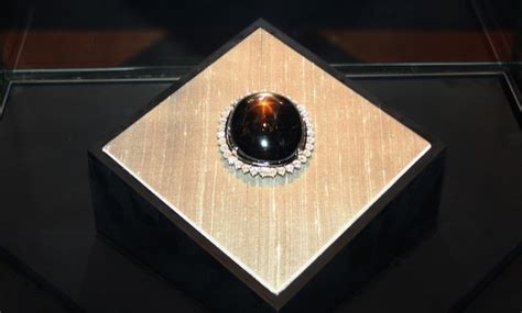 Photographie de l'Étoile Noire du Queensland