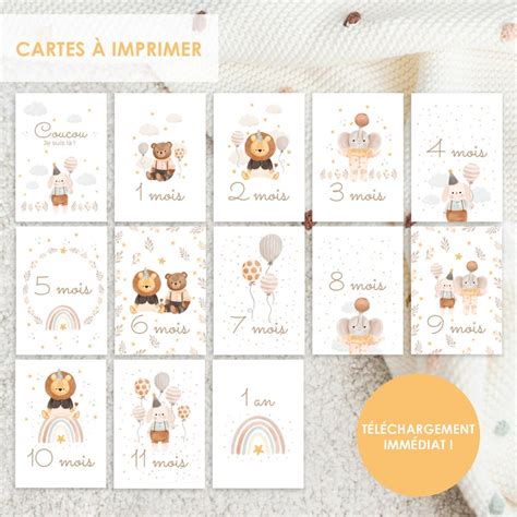 Un ensemble de cartes étapes de naissance avec des illustrations douces