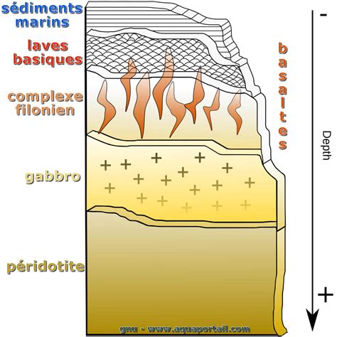 Schéma de la structure d'une ophiolite, montrant les couches de croûte océanique et de manteau supérieur.