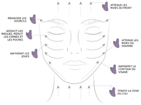 Illustration montrant les différents mouvements du Gua Sha sur le visage et le cou
