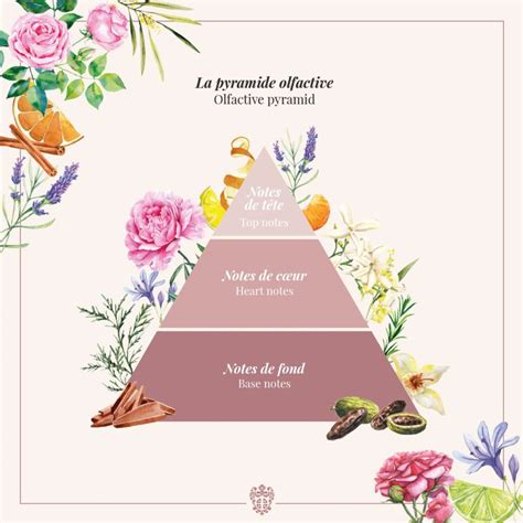 Pyramide olfactive du parfum Swarovski