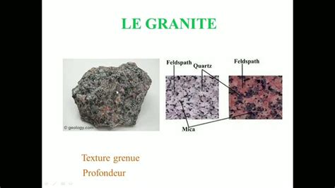 Vue générale d'une rhyolite, mettant en évidence sa couleur claire et texture.