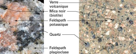 Microphotographie d'une rhyolite montrant des cristaux de quartz et de feldspath.