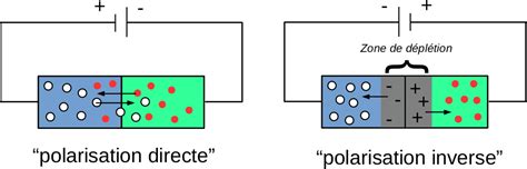 Schéma d'une jonction P-N montrant le comportement lors d'une polarisation directe et inverse.