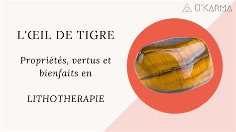 Infographie détaillant les différentes vertus de l'œil de tigre.