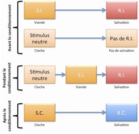 Schéma explicatif du conditionnement pavlovien appliqué au bracelet Pavlok