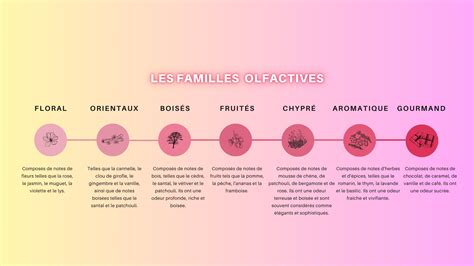 Schéma des notes olfactives de Musc et Diamants : Pêche, Rose, Fleurs Blanches en tête, Musc Blanc et Oud en fond.