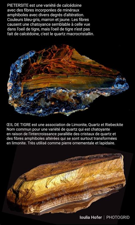 Divers échantillons de Pietersite, montrant la variété des couleurs (bleu, doré, brun, gris) et les motifs tourbillonnants caractéristiques.
