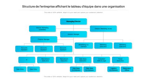 Schéma illustrant la structure de la société DEXTER & MANGO (MON JOLI SAUTOIR) avec ses différents établissements et leurs fonctions (siège social, établissement secondaire).