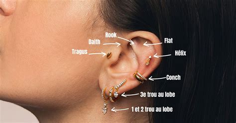 Infographie présentant les différentes zones de piercings d'oreille.