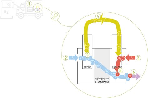 Schéma expliquant le fonctionnement des micro-courants dans le ReFa CARAT RAY