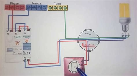 Schéma lumineux montrant la connexion des circuits pour le puzzle du nid