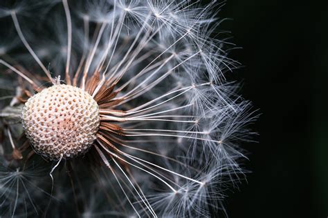 Photographie macro d'un bijou artisanal montrant des détails de texture et une légère asymétrie.