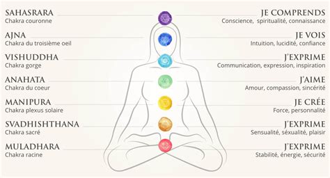 Schéma du corps humain mettant en évidence le chakra du troisième œil