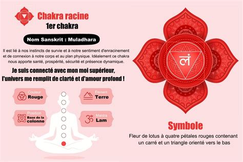 Illustration des chakras, mettant en évidence le chakra racine.