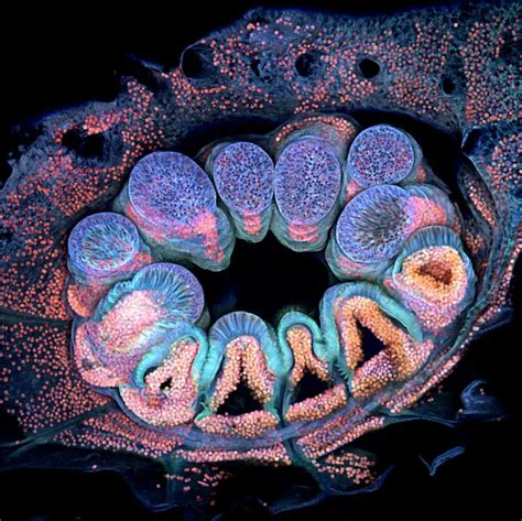 Illustration conceptuelle de micro-usinage sur un bijou, montrant des détails à l'échelle microscopique.