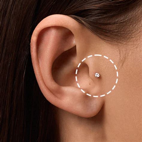 Collage de différents styles de bijoux pour piercing tragus : anneaux, studs avec motifs (chat, étoile, etc.).