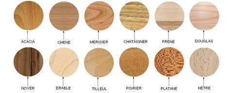 Exemples de différentes couleurs et textures de bois pétrifié
