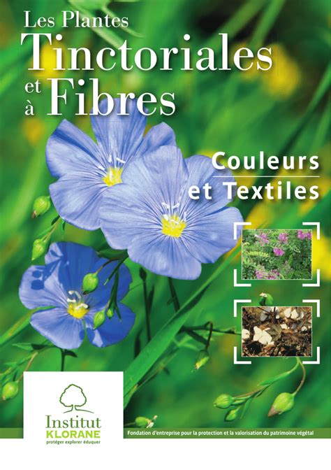 Infographie présentant diverses plantes tinctoriales et les couleurs qu'elles produisent.