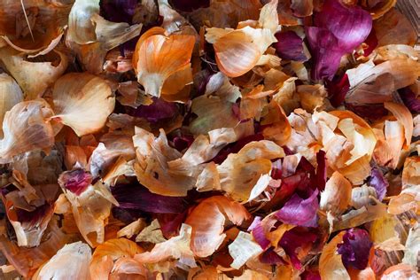 Photographie montrant des tissus teints avec des pelures d'oignon, des peaux d'avocat et du marc de café, illustrant la diversité des couleurs obtenues à partir de déchets.