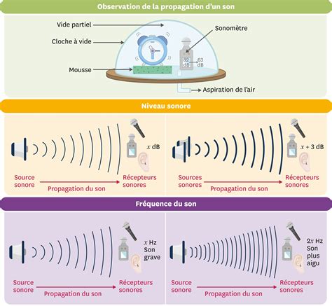 Schéma illustrant la poche d'arthroscopie Invisishield avec ses dimensions et sa fenêtre adhésive
