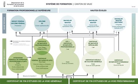 Schéma des différentes filières de formation en bijouterie-joaillerie