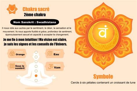 Schéma du chakra sacré et de sa localisation