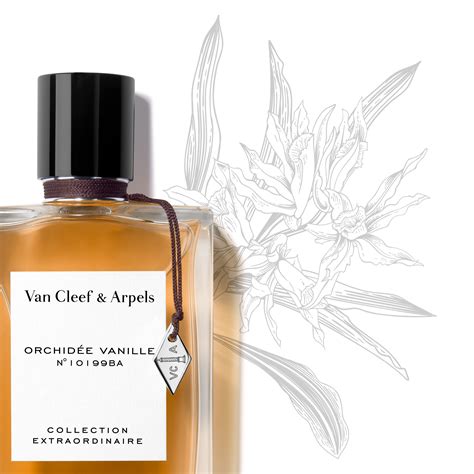 Pyramide olfactive de Orchidée Vanille par Van Cleef & Arpels