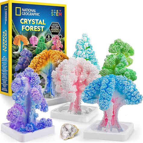 Illustration d'une famille observant la croissance de cristaux colorés dans un kit scientifique.