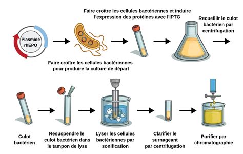 Illustration montrant les étapes de purification et de programmation d'un cristal.