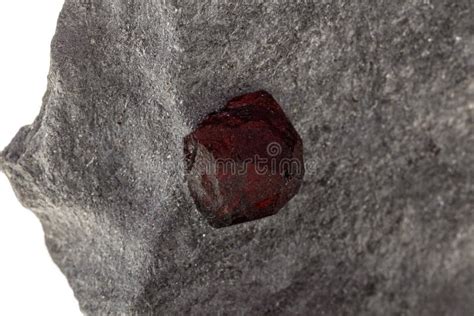 Photographie de cristaux de grenat inclus dans une roche sombre