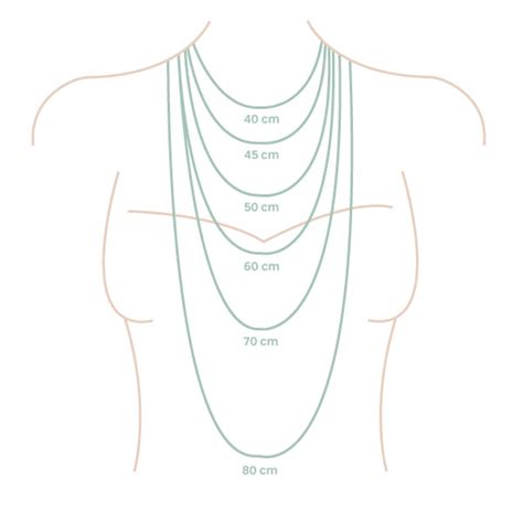 illustration des différentes longueurs de colliers