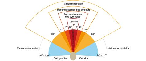 Schéma comparatif des champs de vision des lunettes de battue