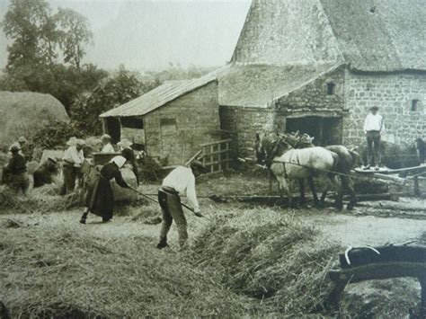 Photographie d'époque de la vie paysanne dans le Poitou.