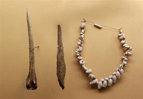 Reconstitution de parures mésolithiques à base de coquillages
