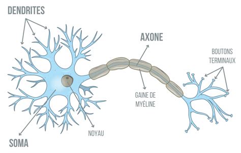 Schéma d'un poinçon gravé avec un motif complexe