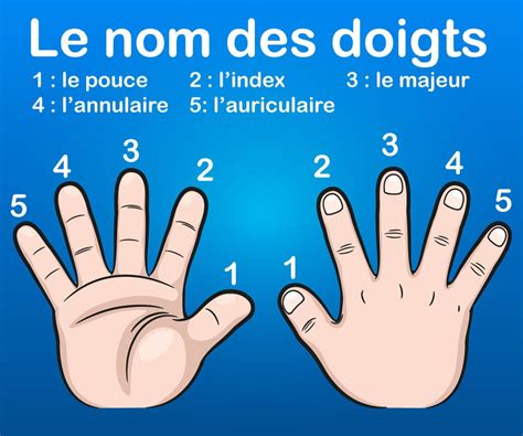 Illustration schématique des mains avec les doigts numérotés et leurs significations principales