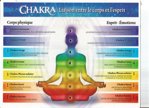 Schéma des Chakras Majeurs, mettant en évidence les Chakras de la Gorge et du Troisième Œil avec leurs couleurs associées.