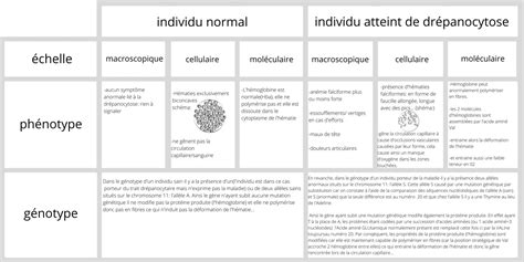 Tableau présentant les différentes couleurs de spinelles