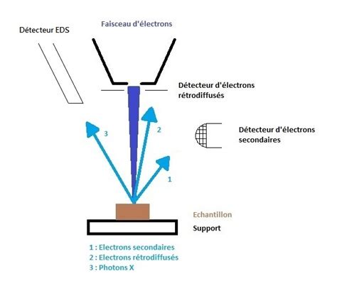 Schéma explicatif de la microscopie électronique à balayage
