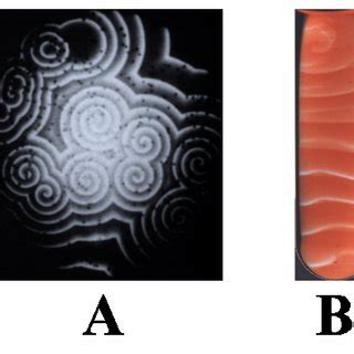 Motifs concentriques et spirales gravés sur des pierres néolithiques