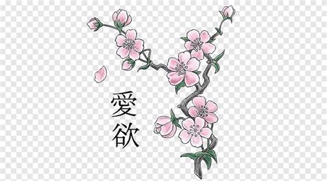Illustration d'un nuage de fleurs de cerisier stylisé, évoquant le nom de la collection