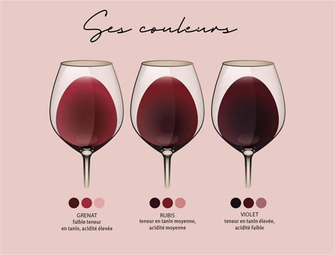 Spectre des couleurs des vins rouges, allant du violacé au tuilé, avec des exemples visuels de chaque nuance.