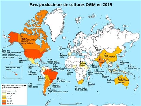 Carte du monde mettant en évidence les principaux pays producteurs d'améthyste.