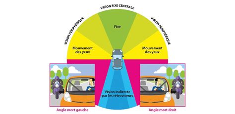 Comparaison visuelle des champs de vision entre Z6i et Z8i