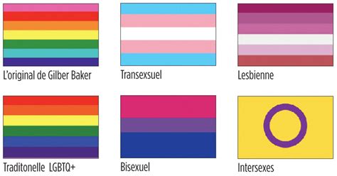 Infographie présentant les différents drapeaux et symboles LGBT avec leurs significations