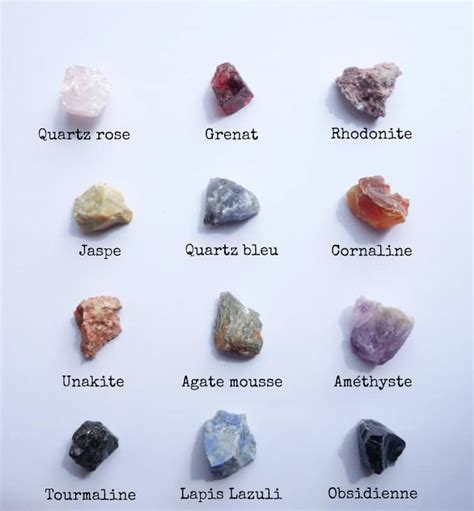 Illustrations des différentes 