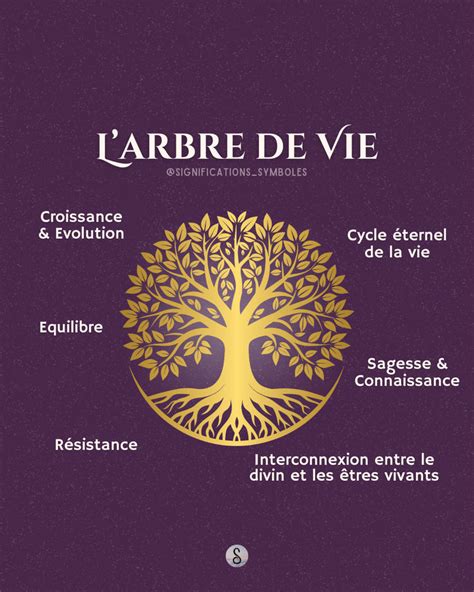 Infographie résumant les différentes significations de l'arbre de vie selon les cultures
